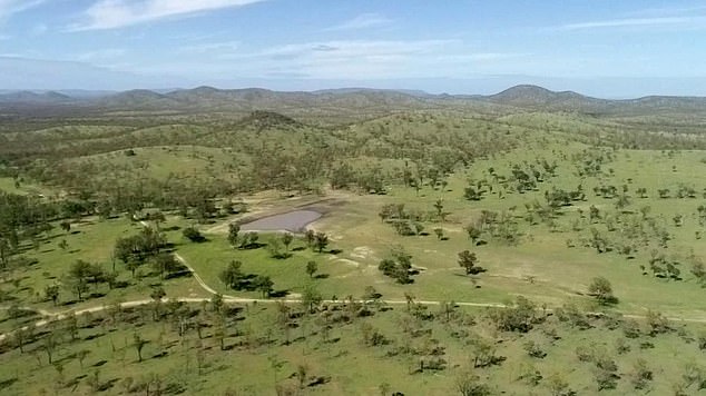 Pictured: The Schwarz-Tighe family's plot of land at Bogie, North Queensland