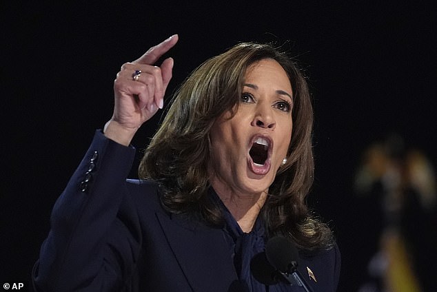 Democratic presidential candidate Vice President Kamala Harris speaks at the Democratic National Convention