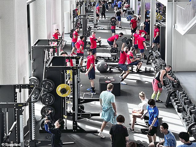 Olympic athletes (pictured) were enthusiastic about the facilities that are also available to Paralympic stars from around the world