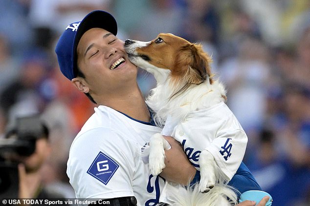 Ohtani - the AL MVP - showed off Decoy - Dutch Kooikerhondje - On Tuesday at Dodgers Stadium