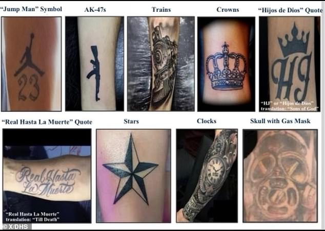 Tattoos from the Tren de Aragua gang (pictured above) were part of a Department of Homeland Security bulletin recently shared with federal agents