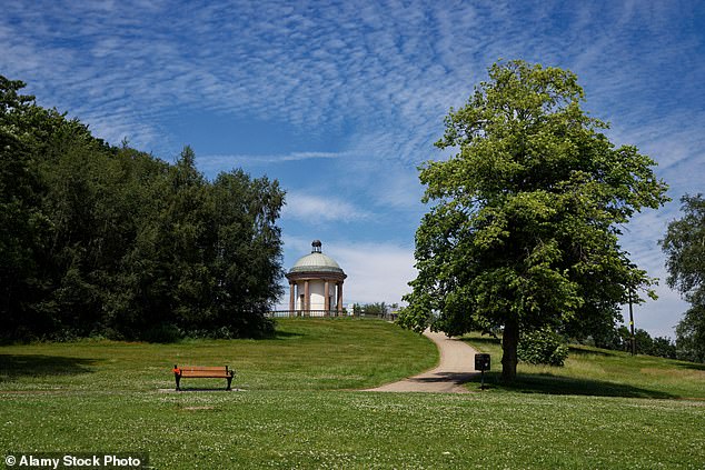 I saw such shows as a violation of a beautiful open space (Heaton Park, pictured)