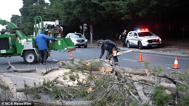 Strong winds have blown down trees in much of southeastern Australia (see photo)