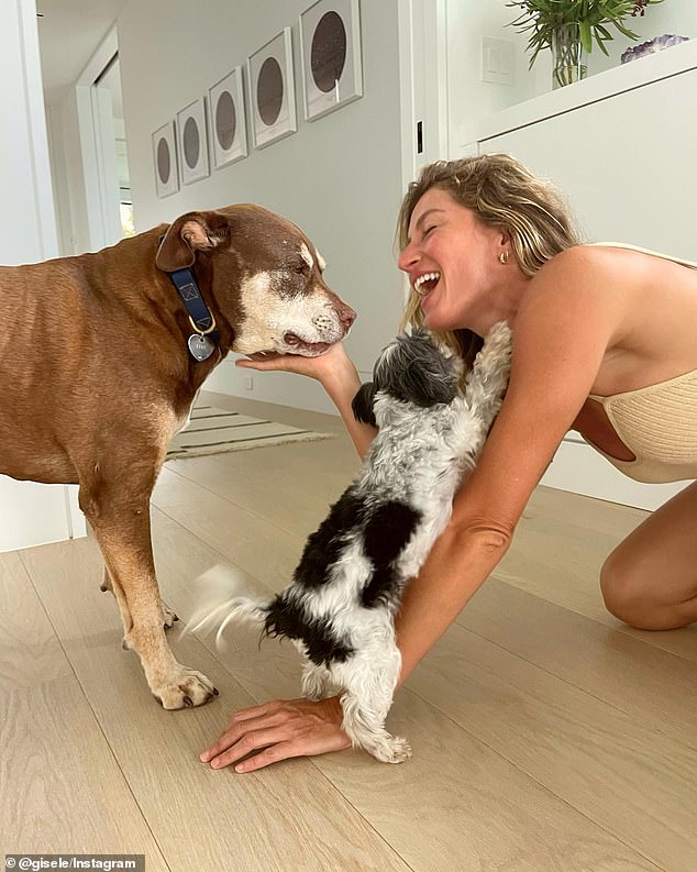 The 47-year-old also walked an unknown brown pit bull mix that resembles the couple's longtime dog, Lua (left), who died in 2023