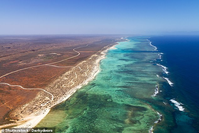 Winton said the World Heritage-listed Ningaloo Coast was being trashed by 