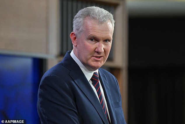 Home Secretary Tony Burke (pictured) said he would 'personally' assess Ms Owens' visa application because of her history of controversial opinions