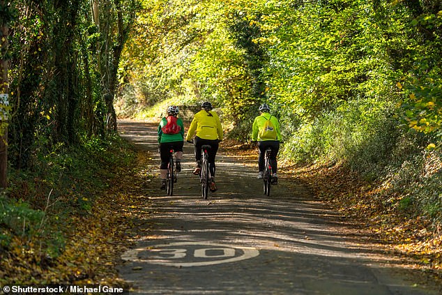 If you don't like the stop-start nature of HIIT training, a more continuous route like a bike route may be more appealing (File Image)