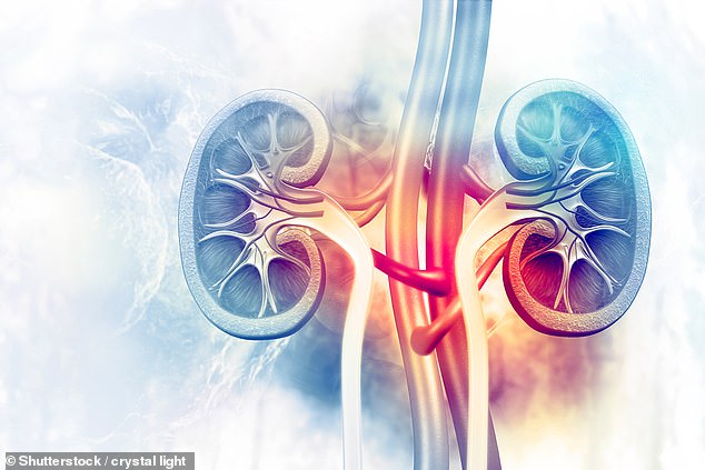 The drug is most commonly used to treat kidney cancer (stock photo)