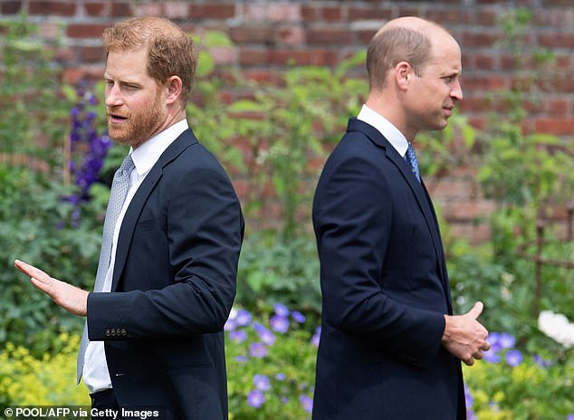 Despite the ongoing coldness between Harry and William, AN Wilson hopes they can forgive each other's mistakes and build bridges before it's too late.