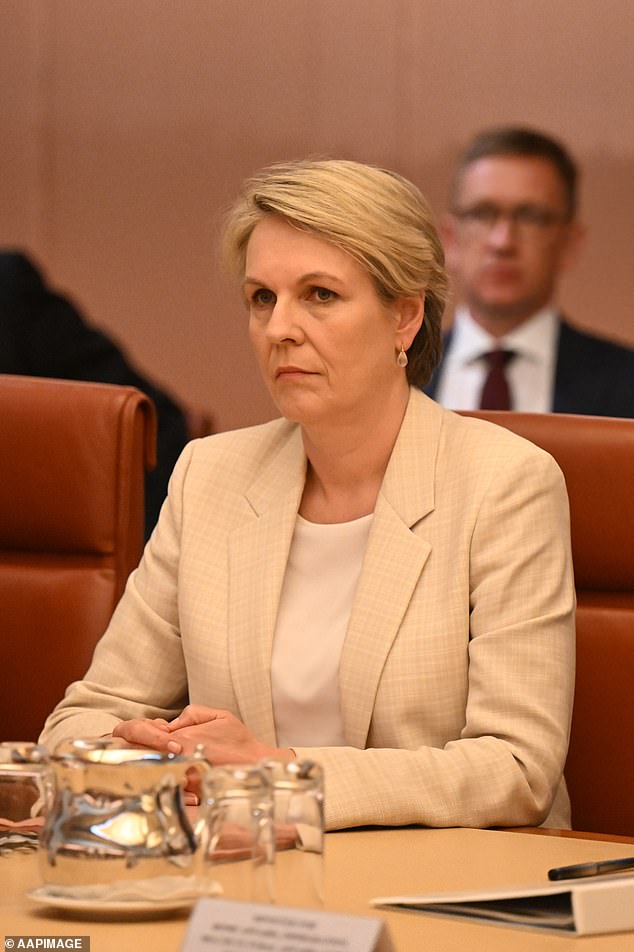 Federal Environment Minister Tanya Plibersek issued an Indigenous Heritage Protection Order in mid-August rejecting the proposed siting of a tailings dam at the mine near Blayney in central-western New South Wales.