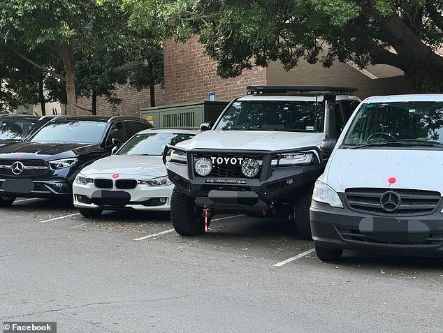 More than 80 luxury cars were sprayed in Sydney's east between August 19 and 28