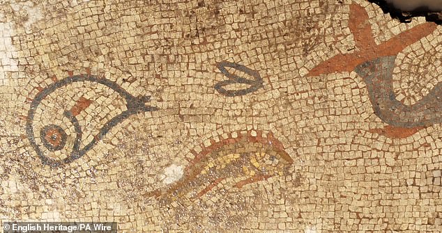 The images of dolphins and fish were cleverly created by the Romans using intricately arranged white, red, blue and yellow tiles