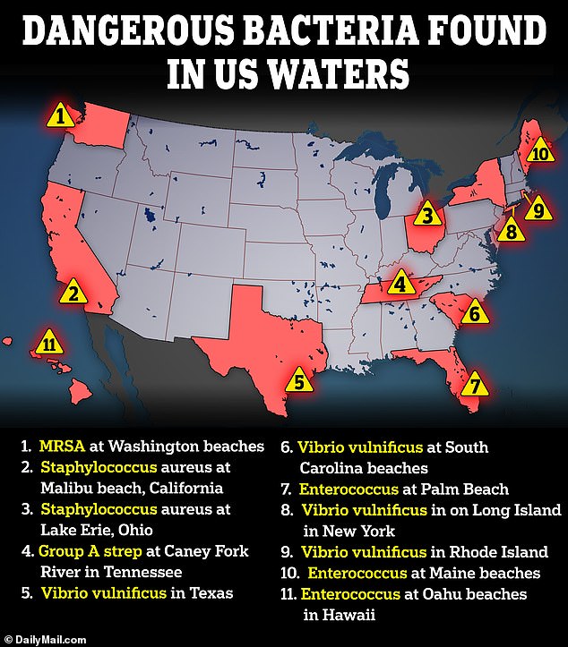 Dangerous bacteria that lurk in coastal waters, as well as rivers and lakes, are becoming more common with rising ocean temperatures. MRSA and enteroccus are some other examples of harmful bacteria.