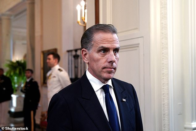 Hunter Biden joined Burisma's board in 2014 and was paid millions for his role at the company, despite having no background in the gas or energy sectors.