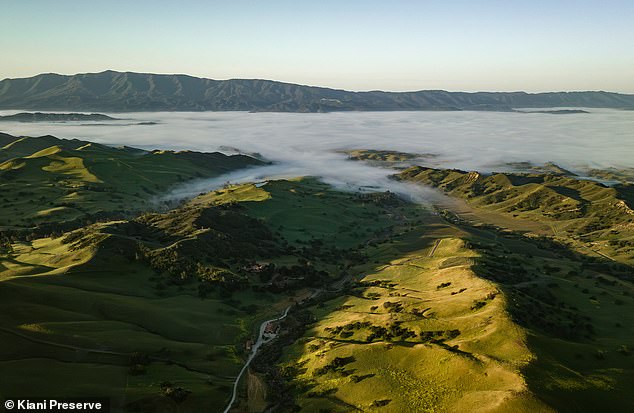 President Joe Biden and his family are traveling to California. According to local media, he will stay at the Kiani Preserve (pictured), a 20,000-acre ranch owned by billionaire Democratic donor Joe Kiani.