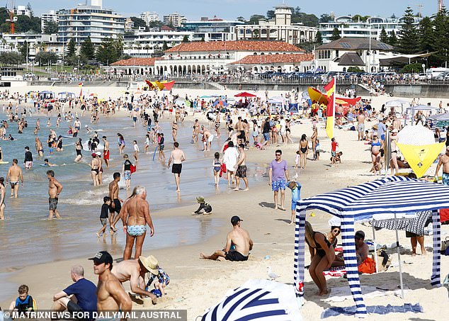 Police carried out a two-day blitz in Bondi (stock photo) targeting domestic violence and drug offences