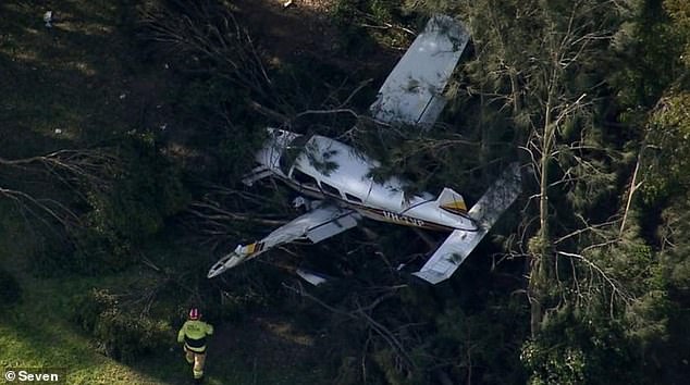 The plane (pictured) crashed into trees near Terone Park on Garnet Street at Bossley Park, in Sydney's west, at around 2.30pm on Thursday