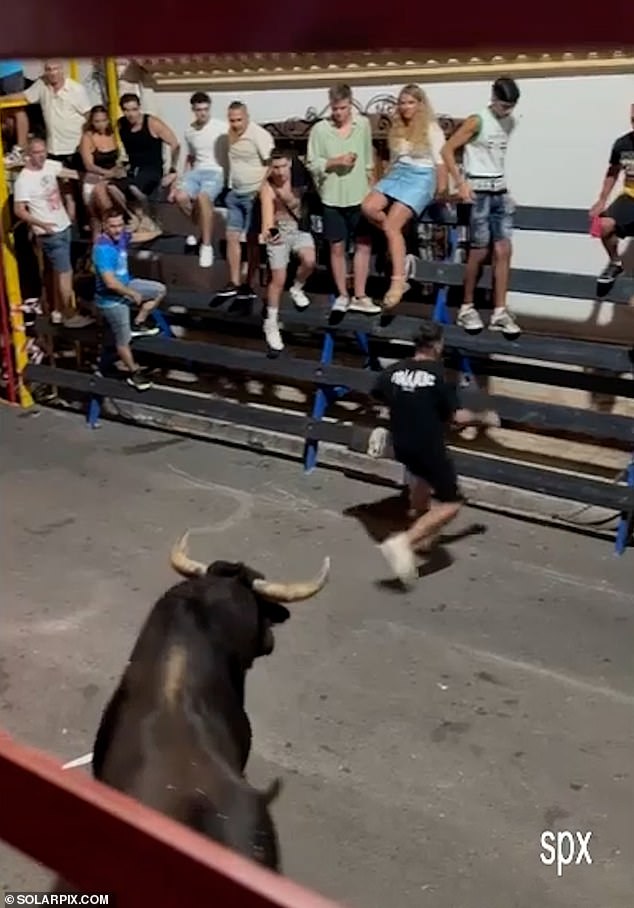 The bull rider stood no chance against the huge animal that ran through the streets