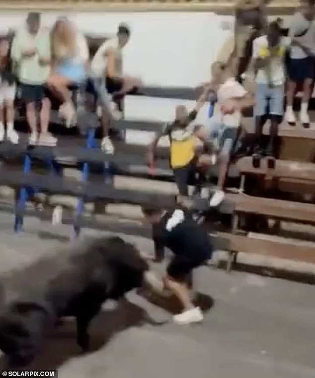 In shocking scenes, the man is repeatedly gored by a bull during a Bous al Carrer race