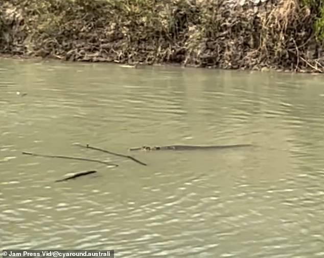 The frustrated tour operator said they watched in horror as a family fished just metres from at least 10 crocodiles