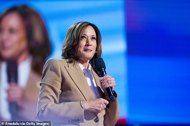 The liberal lawmaker said the key to electing Kamala Harris will be to give Americans 