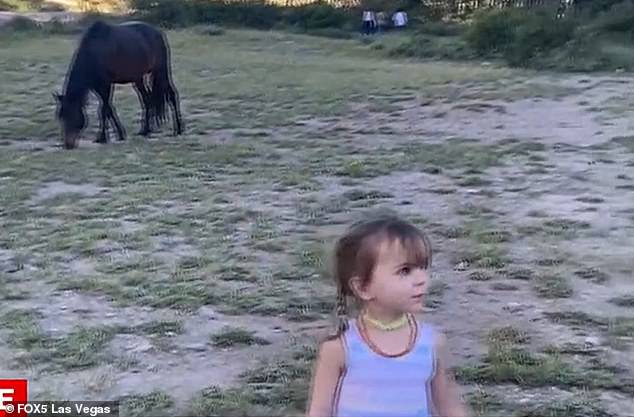 The girl's mother, Haley Wilkey, said she stopped recording to tell her son to slow down when the wild Mustang kicked 3-year-old Olivia