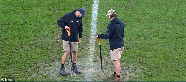 Allianz Stadium officials have admitted that Friday night's swampy surface was not up to par, and an investigation has now been launched into the $828 million venue's drainage system (pictured, workers wielding pitchforks during a break in the match).