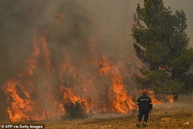 A damning report on climate change has confirmed that 2023 was a year of new climate records. Pictured: Forest fires in Greece on July 19, 2023