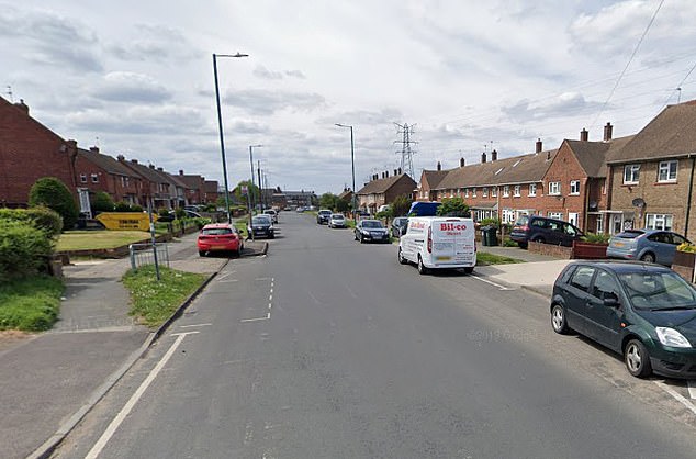 Ernestas Juska, of Dartford, Kent, is charged with the murder of Nina Denisova, 39, and also charged with committing a sexual offense against the deceased woman. The incident is alleged to have happened in Henderson Drive (pictured), Dartford, Kent