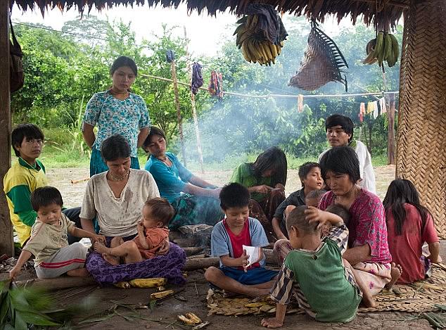 The Tsimane farming-foraging community (pictured) from lowland Bolivia was once said to have the 'healthiest hearts ever studied'