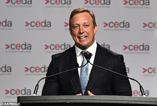 Queensland Premier Steven Miles (pictured) has announced that if he wins the state election in October he will open 12 state-owned petrol stations across Queensland