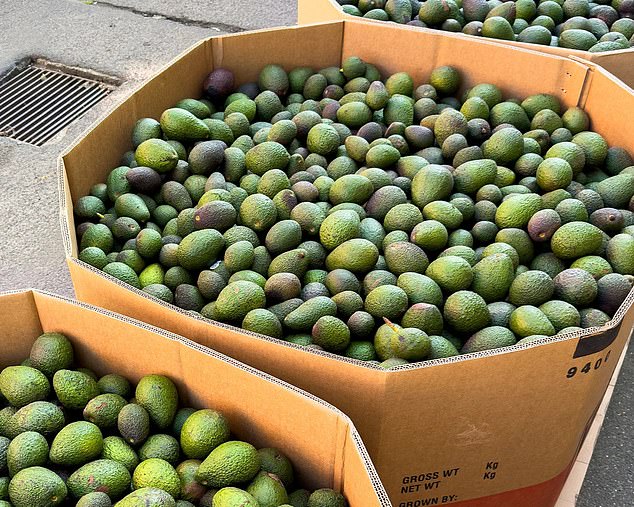 Farmer's Pick co-founder Josh Ball said he prevents about 4,000kg of avocados (pictured) from ending up in landfill every week