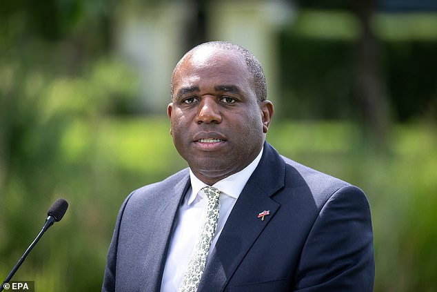 According to SOAS, University of London, David Lammy graduated in law in 1993 with a Second Class degree, but his Wikipedia page claimed for seven years that it was a First Class degree.