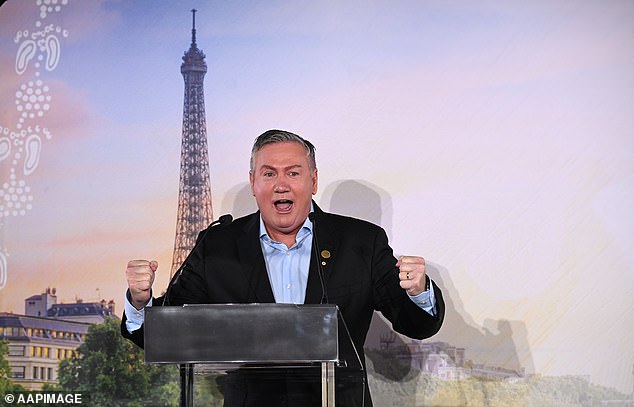 Eddie McGuire (pictured) has given his opinion after Karl Stefanovic gave a brutally honest opinion about the French people