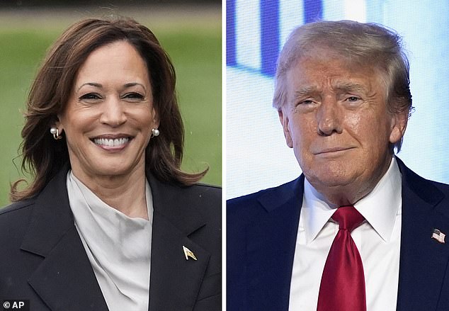 Professor Allen Lichtman believes Kamala Harris is on track to win the November election over Donald Trump, despite shifts at the top of the Democratic presidential ticket