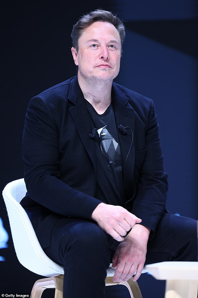 Elon Musk (pictured at the 2024 Cannes Lions International Festival Of Creativity) has joined critics of the arrest who accused authorities of restricting freedom of expression