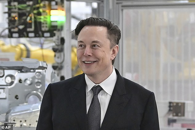 Tesla, the electric car company owned by Elon Musk (pictured), has cut down an estimated half a million trees during the development of a gigafactory near Berlin