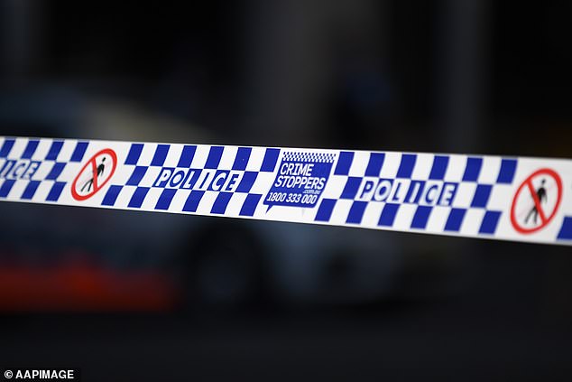 At least five people have been injured in a stabbing attack in Sydney's south (stock photo)