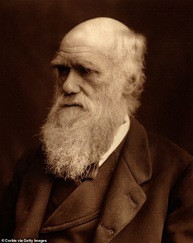 Many brilliant minds are known to have nocturnal habits, including Charles Darwin