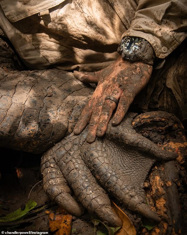 The former wakeboarder, 27, posted a close-up photo on Instagram of his hand next to the enormous flippers of a crocodile, which was almost three times his size