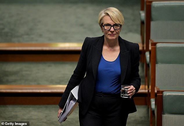 Environment Minister Tanya Plibersek has been accused of 