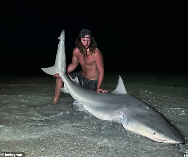 Mason Carson went fishing with some friends off the coast of Sarasota County, where he caught a huge tiger shark, over 13 feet long. He later swam with the predator in the middle of the night.