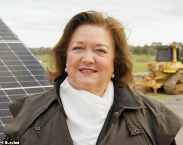 Mining magnate and philanthropist Gina Rinehart (pictured) appeared in a video address at the Bush summit in Bendigo on Monday, calling for the national curriculum to be 