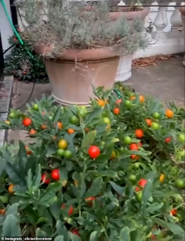 The 47-year-old Hollywood star filmed herself picking a small orange berry and biting into it, asking fans 'what the heck is that?'