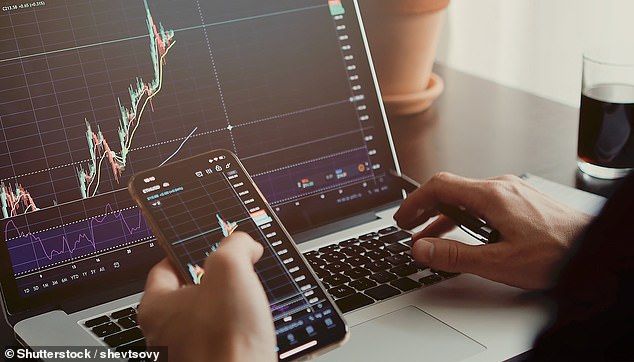 The scammer told Andrew that she was investing in cryptocurrencies and making a lot of money, and encouraged him to start trading the digital currency through an online platform (stock image)