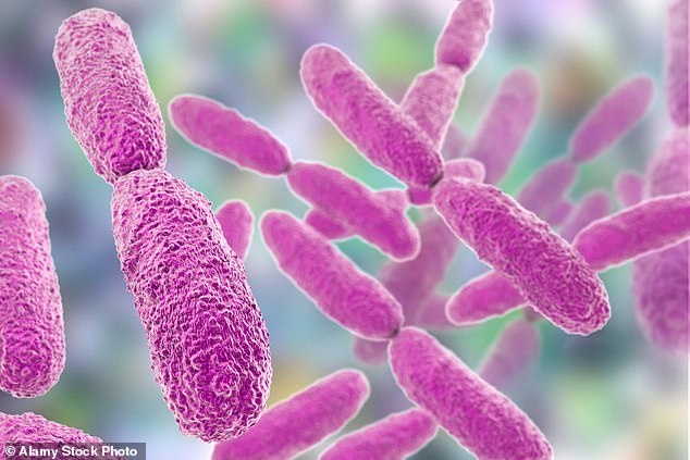 Although Klebsiella pneumoniae has been around for years, experts are increasingly concerned about a 