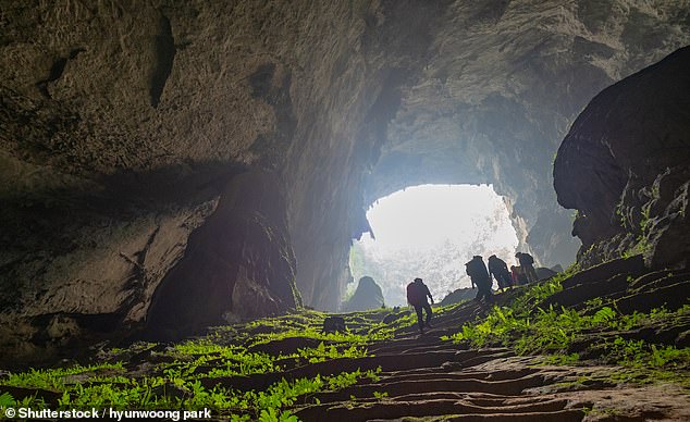 Son Doong Cave remained sealed for millions of years before it was discovered by chance in 1990