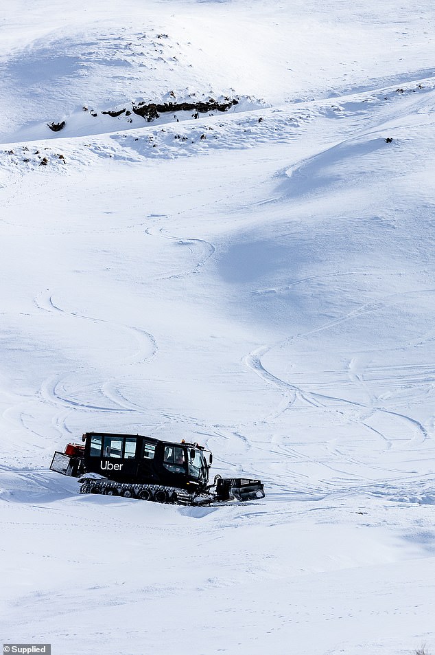 Imagine a day of first tracks after first tracks