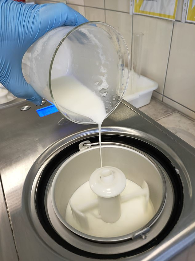 By developing four separate ice creams, they found that the ice creams containing fermented mare's milk were good probiotic treatments, helping to prevent harmful bacteria from establishing themselves in the gut