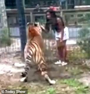 Zyair Dennis was quickly identified after Bridgeton police posted videos and photos of a suspect attempting to lure a Bengal tiger by sticking her hand through a fence